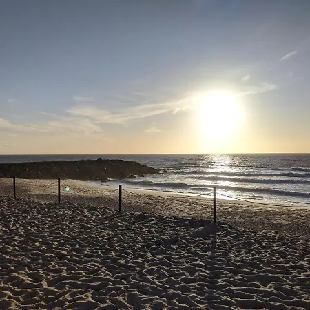 펜션 The Palm House