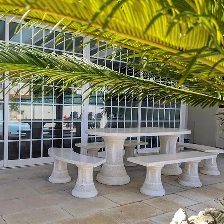 The Palm House *