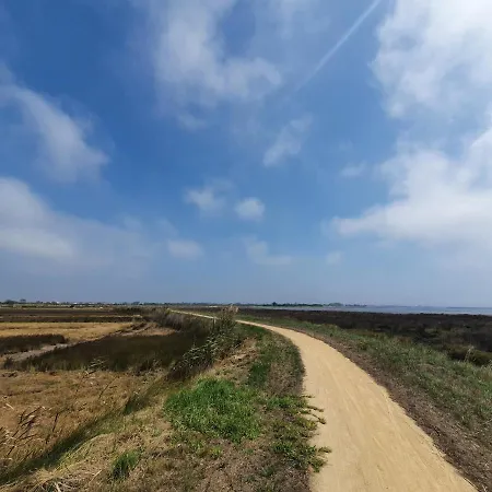 The Palm House 오바