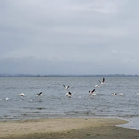 The Palm House * 오바