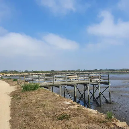 The Palm House 펜션