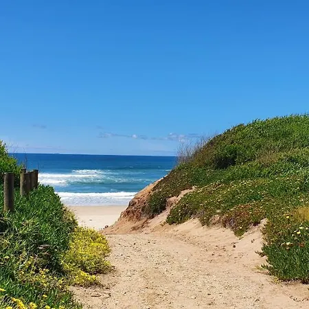 Vakantiehuis The Palm House *