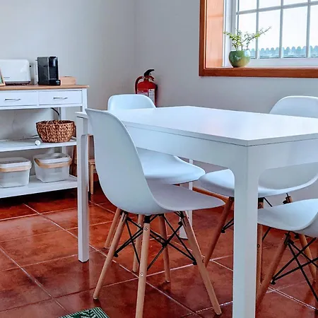 The Palm House * Ovar