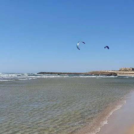 The Palm House * 오바