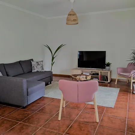 The Palm House * 오바