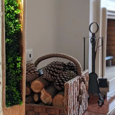 Vakantiehuis The Palm House *