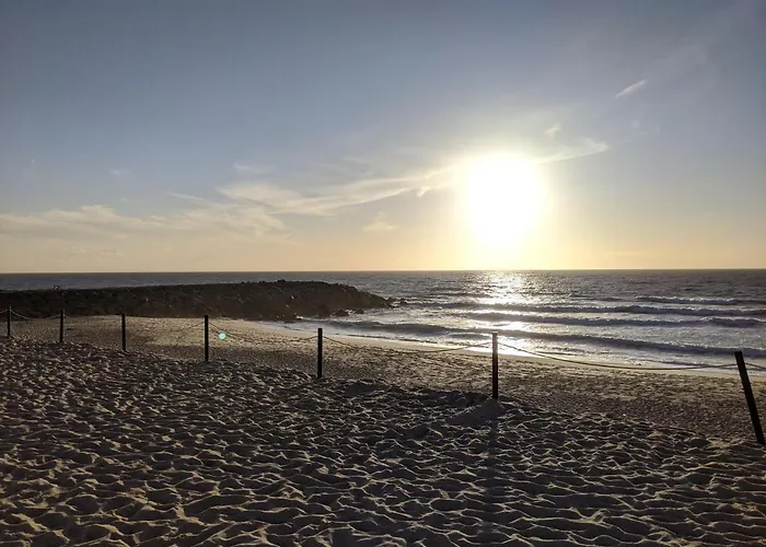 بيت للعطل The Palm House