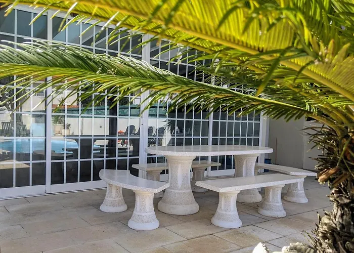The Palm House *