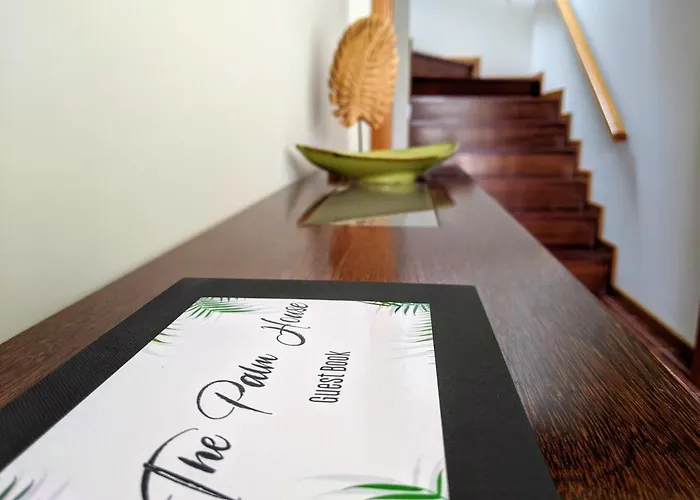 The Palm House * أوفار