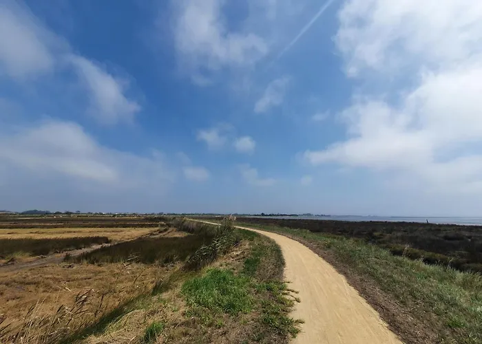 The Palm House أوفار