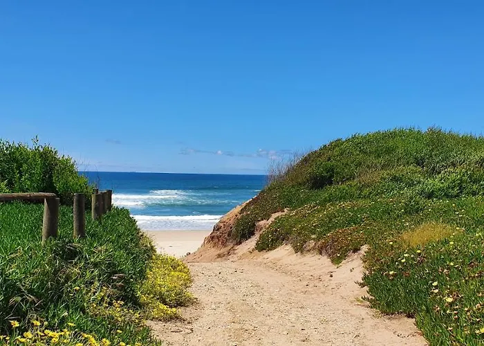 بيت للعطل The Palm House *