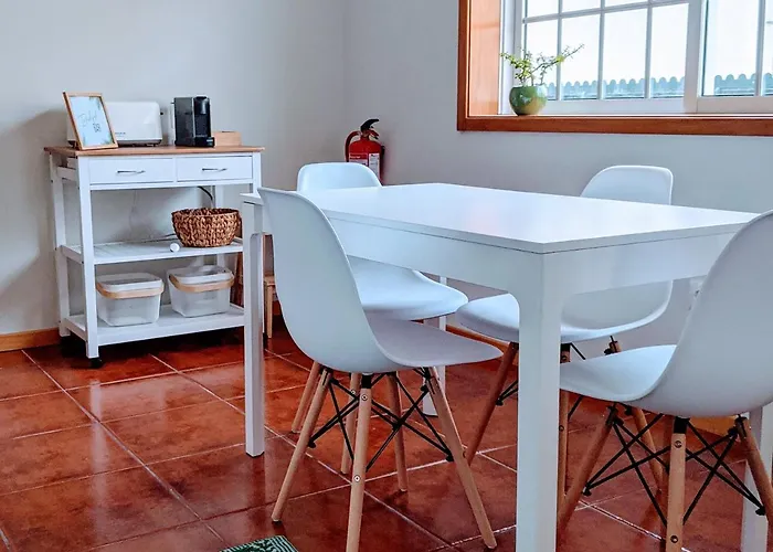 The Palm House * أوفار