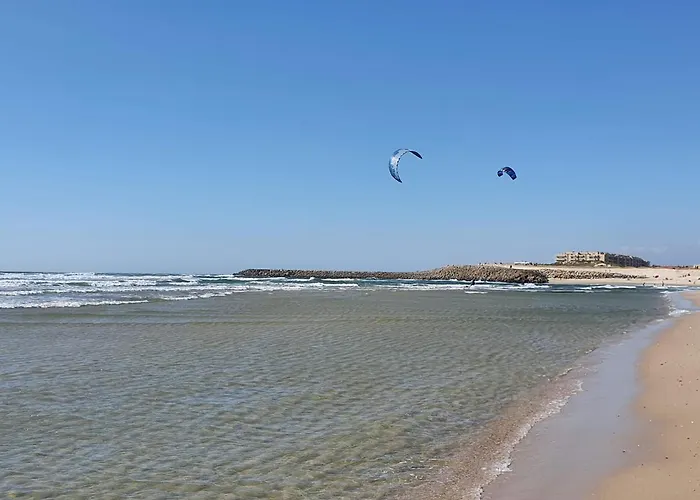 The Palm House * أوفار