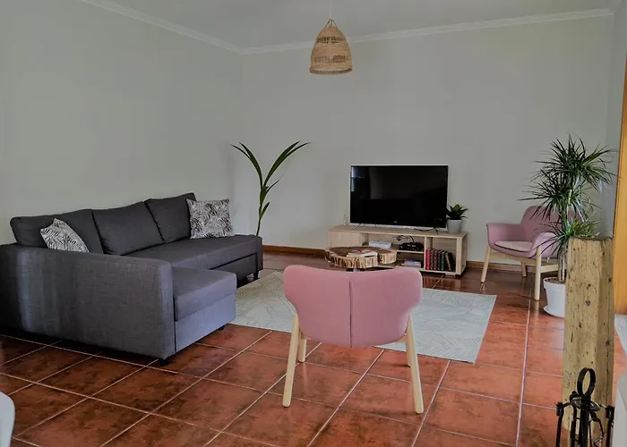 The Palm House * أوفار